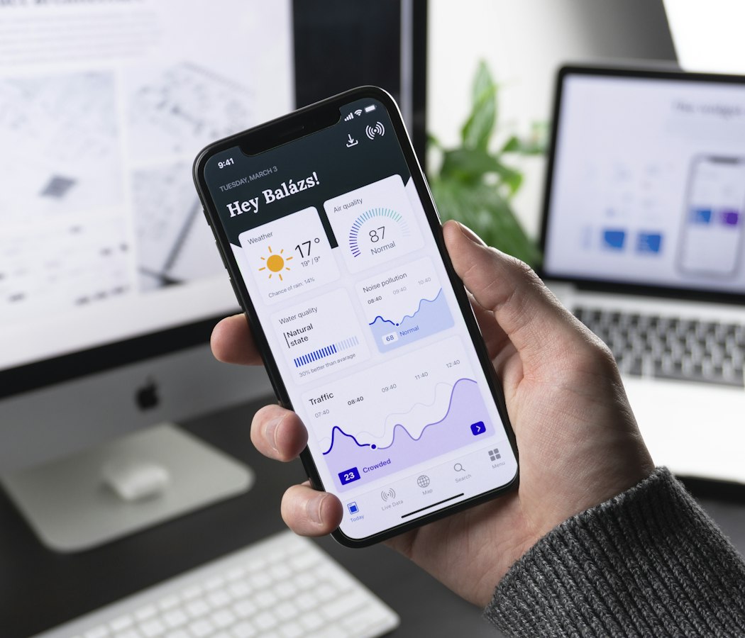 Mobile application interface on a screen